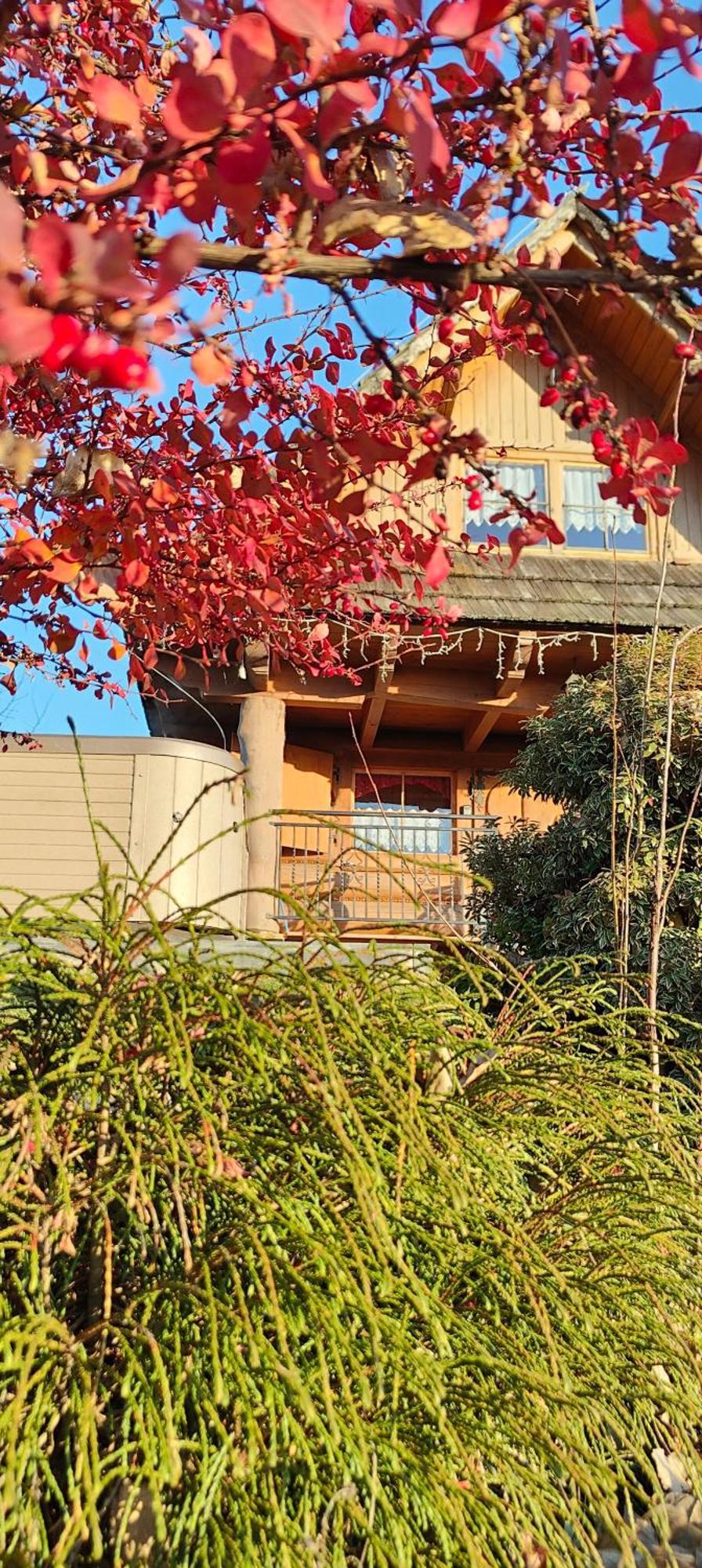 Osada Koniowka Villa Eksteriør bilde